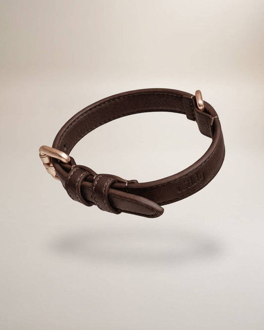 Hundehalsband Studio Collar Chocolate By Teddy – Studio Neva