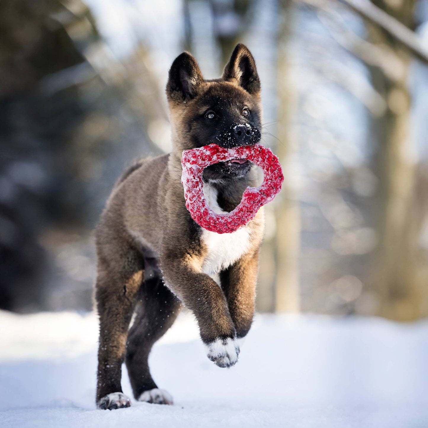Hertha Heart Spielzeug Hund robust – Studio Neva