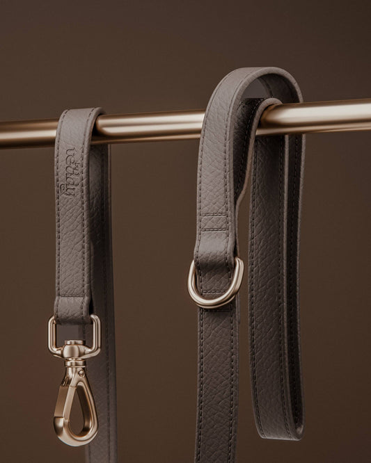Hundeleine Studio Lead Hazelnut – Premium Hundeleine für Hunde, Studio Neva Schweiz


