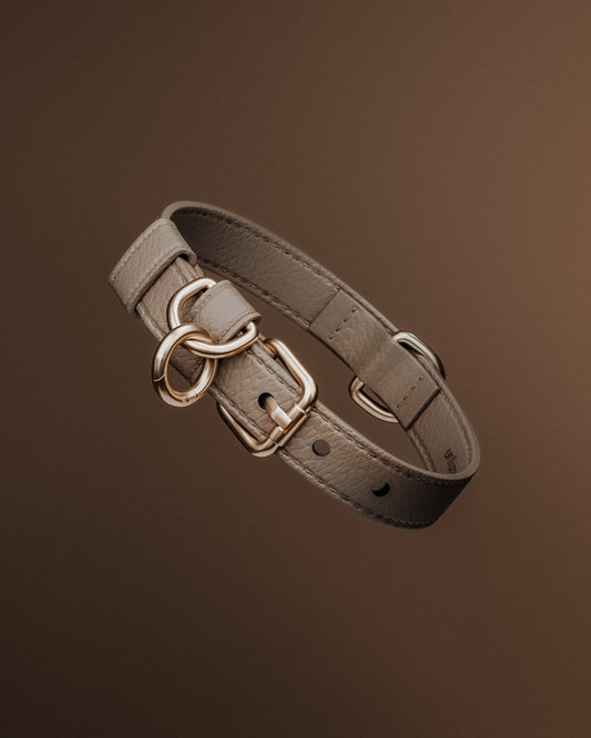 Hundehalsband Studio Collar Hazelnut By Teddy – Studio Neva