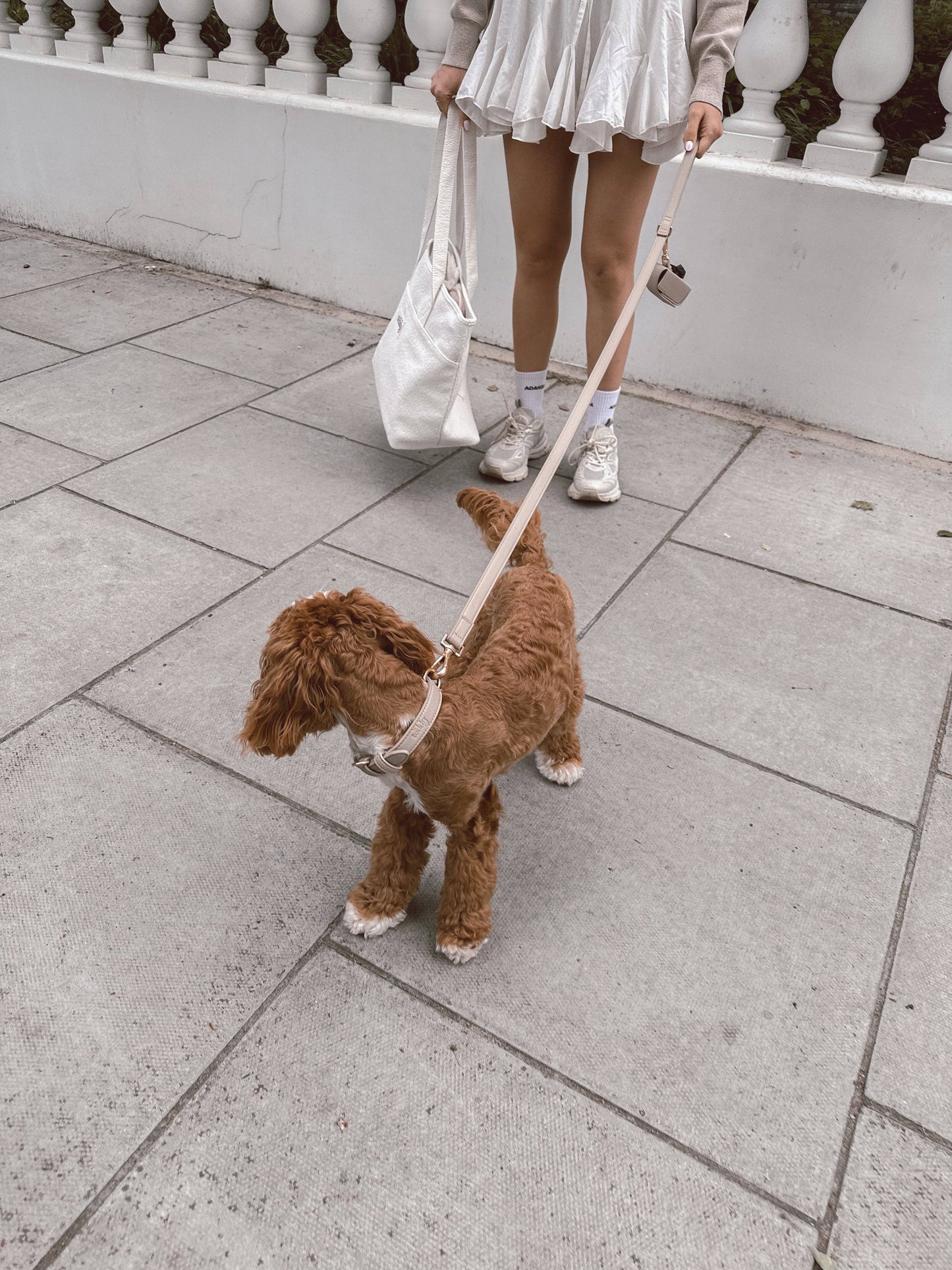 Veganes Hundehalsband Hazelnut kaufen Schweiz – Studio Neva