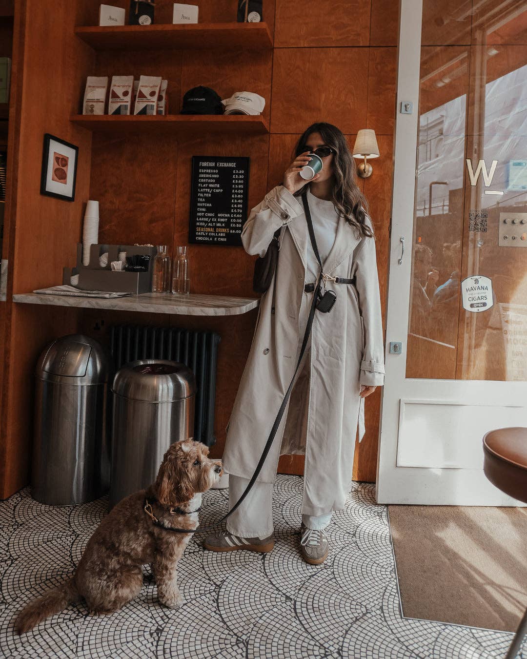 Hundeleine Hands-Free Loop Lead Chocolate – By Teddy