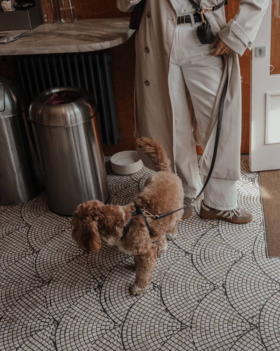 Step-In Hundegeschirr Chocolate – By Teddy