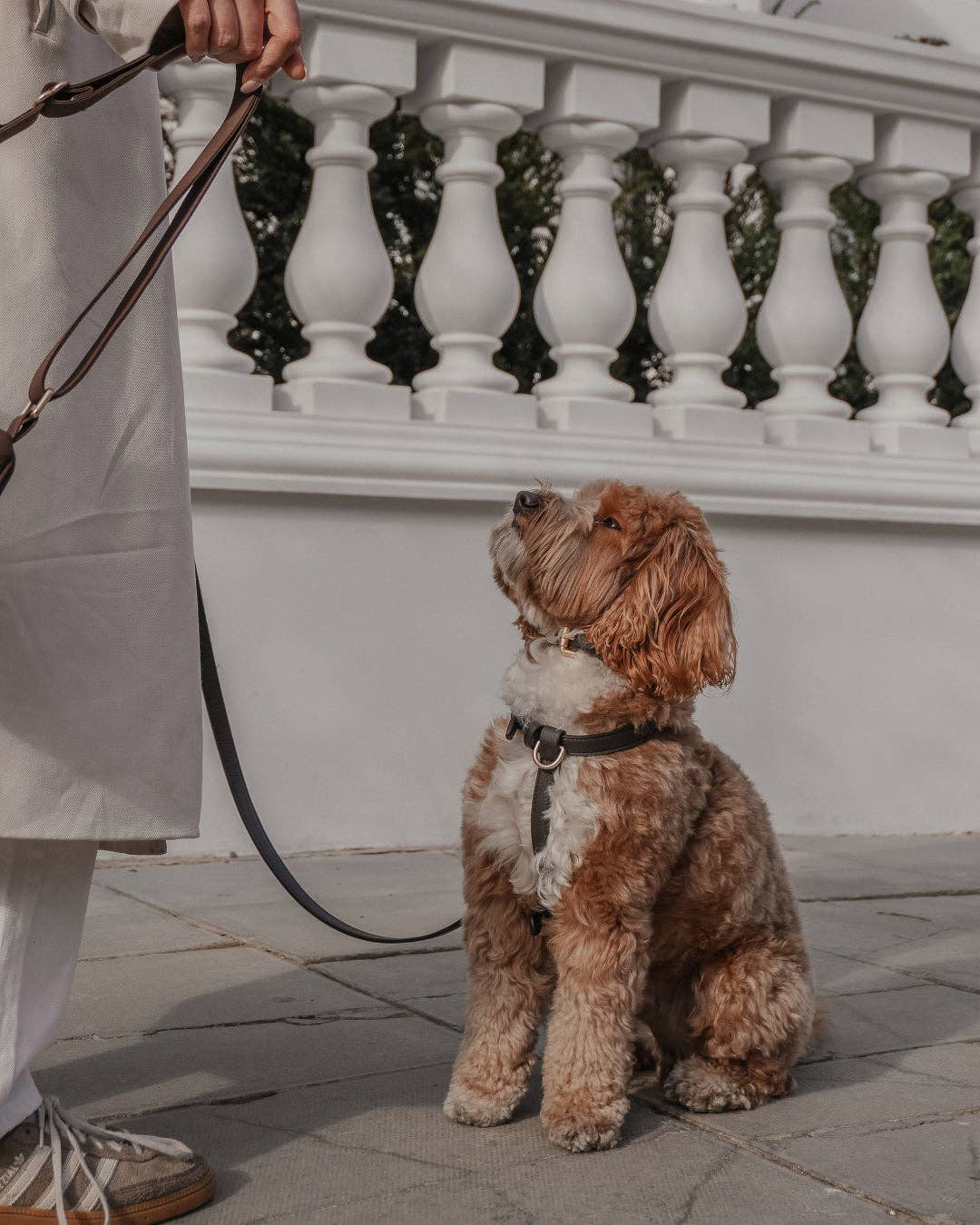 Step-In Hundegeschirr Chocolate – By Teddy