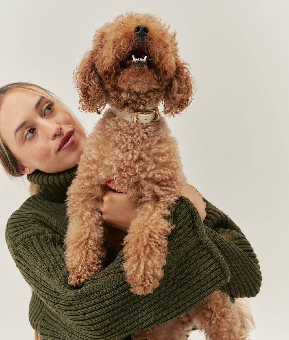 Hundehalsband Jala Beige Detail Schnalle – Studio Neva
